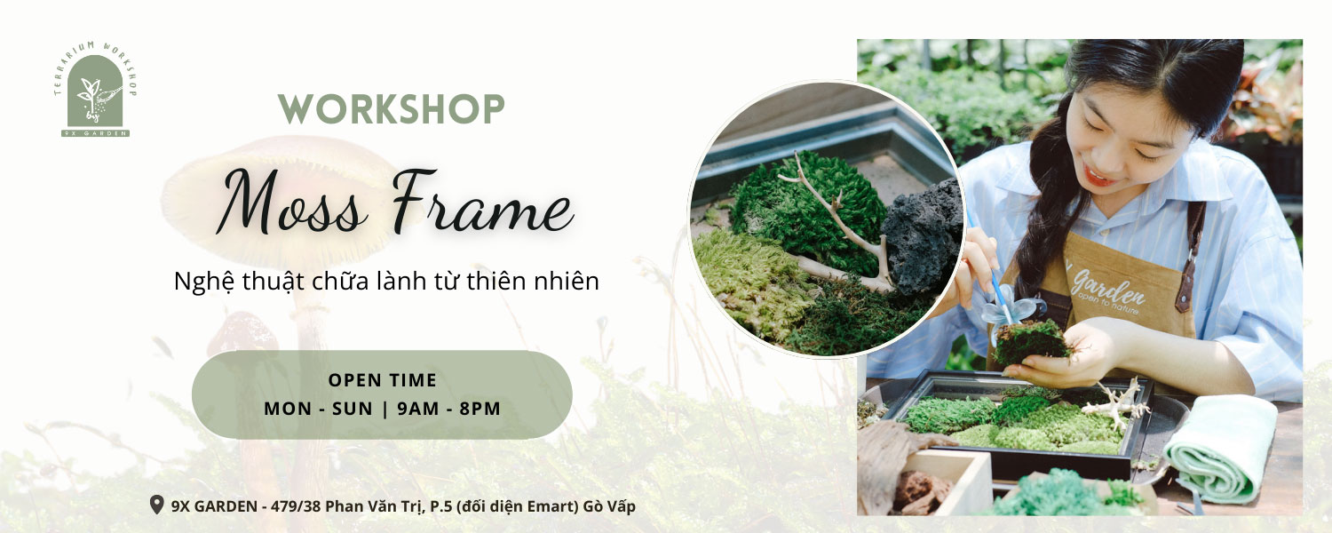 Workshop Moss Frame - Nghệ thuật chữa lành từ thiên nhiên