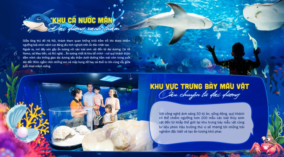 Bán vé vào cửa THỦY CUNG có quy mô lớn nhất Việt Nam - Vinpearl AQUARIUM Times City