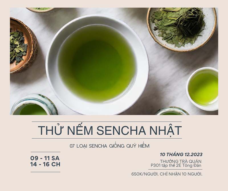 Workshop thử nếm trà Nhật Sencha - Ngày 10.12.2023