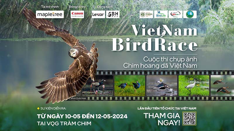 Cuộc thi chụp ảnh Chim Hoang Dã Việt Nam - Vietnam Birdrace 2024