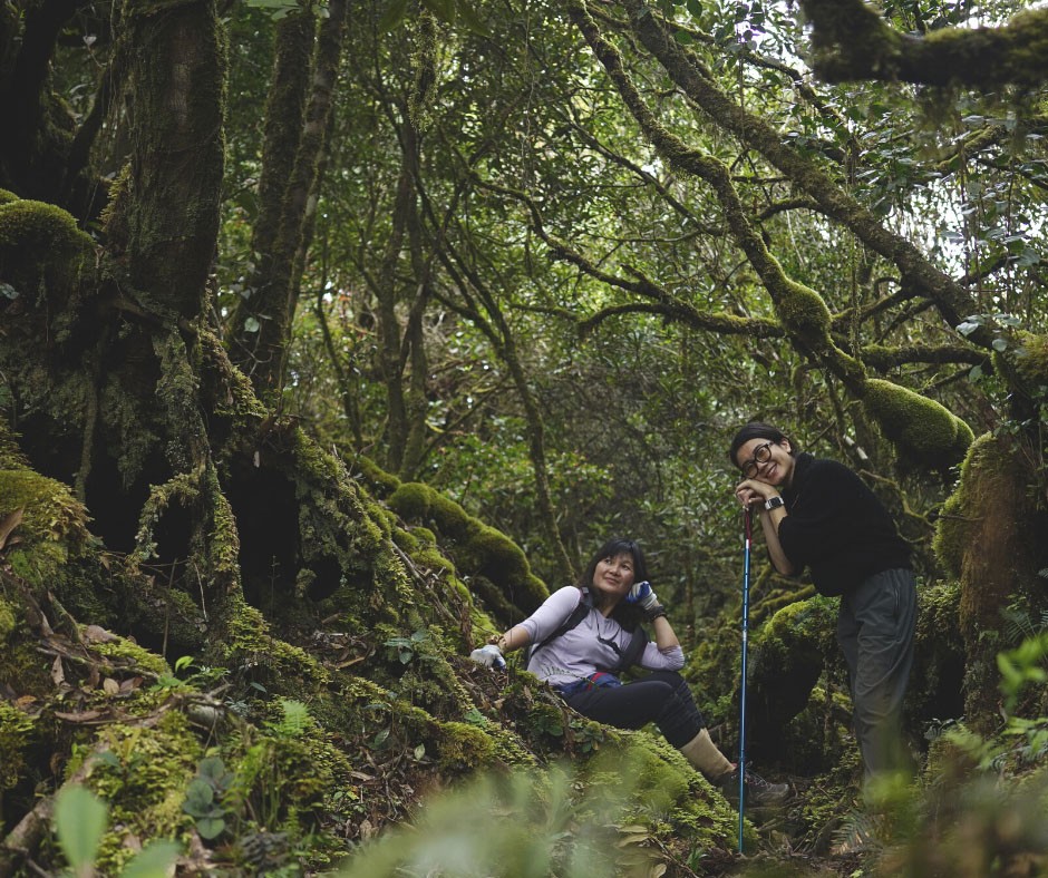 Trekking & Camping Đ&agrave; Nẵng | Tour du lịch 4 ng&agrave;y kh&aacute;m ph&aacute; T&acirc;y Giang kỳ th&uacute;