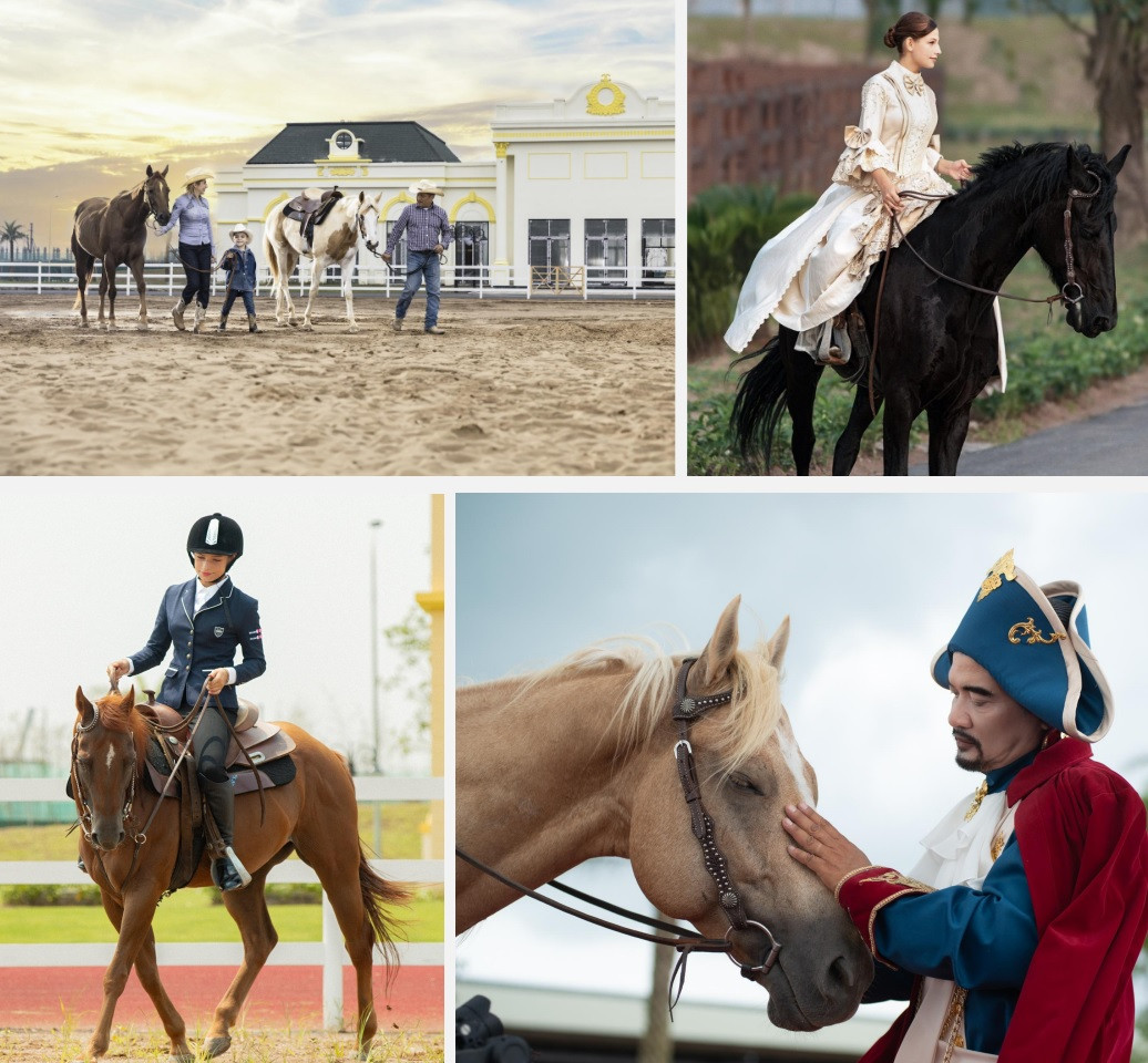 Học viện cưỡi ngựa đẳng cấp quốc tế đầu tiên tại Việt Nam - Vinpearl Horse Academy Vũ Yên