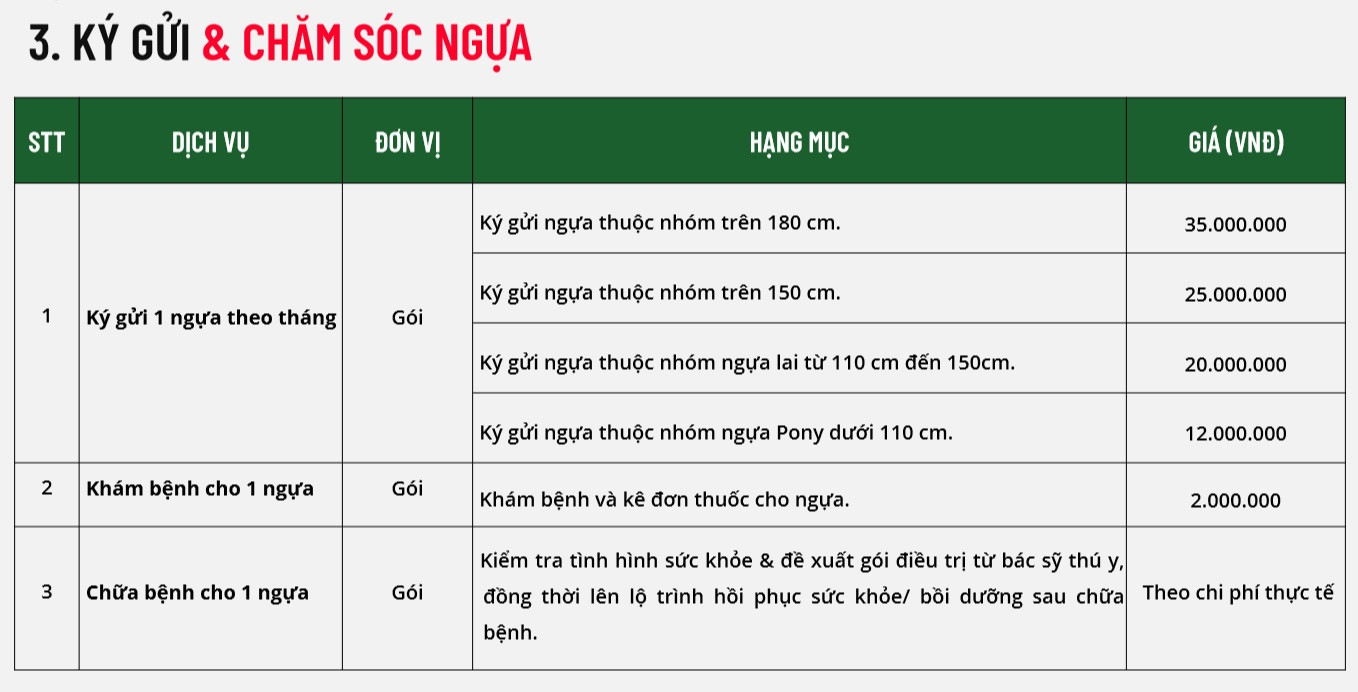 Bán vé trải nghiệm cưỡi ngựa đẳng cấp quốc tế đầu tiên tại Việt Nam - Vinpearl Horse Academy Vũ Yên