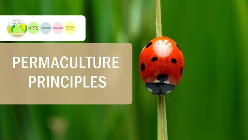 Lớp Nông Nghiệp Tự Nhiên - Permaculture Principles class