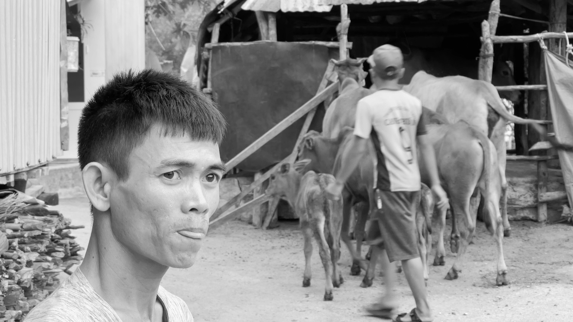 Chàng trai chăn bò người Việt bỗng thành hot tiktoker thế giới nhờ đếm số bằng tiếng Anh - Sô Y Tiết là ai mà đến cả Snoop Dogg và Justin Bieber cũng phải chú ý?