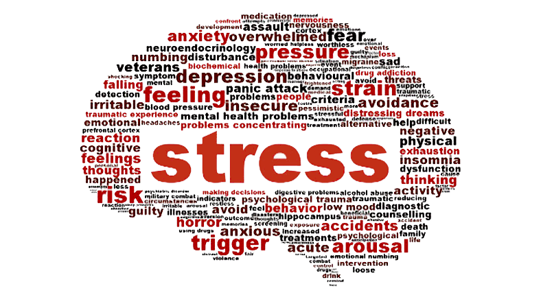 Workshop Stress - Tiếp Cận Từ Góc Độ Sức Khỏe