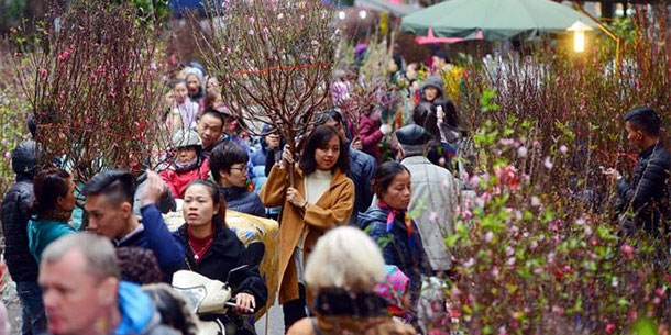 Hà Nội có 64 điểm chợ hoa Xuân phục vụ Tết Nguyên đán Kỷ Hợi