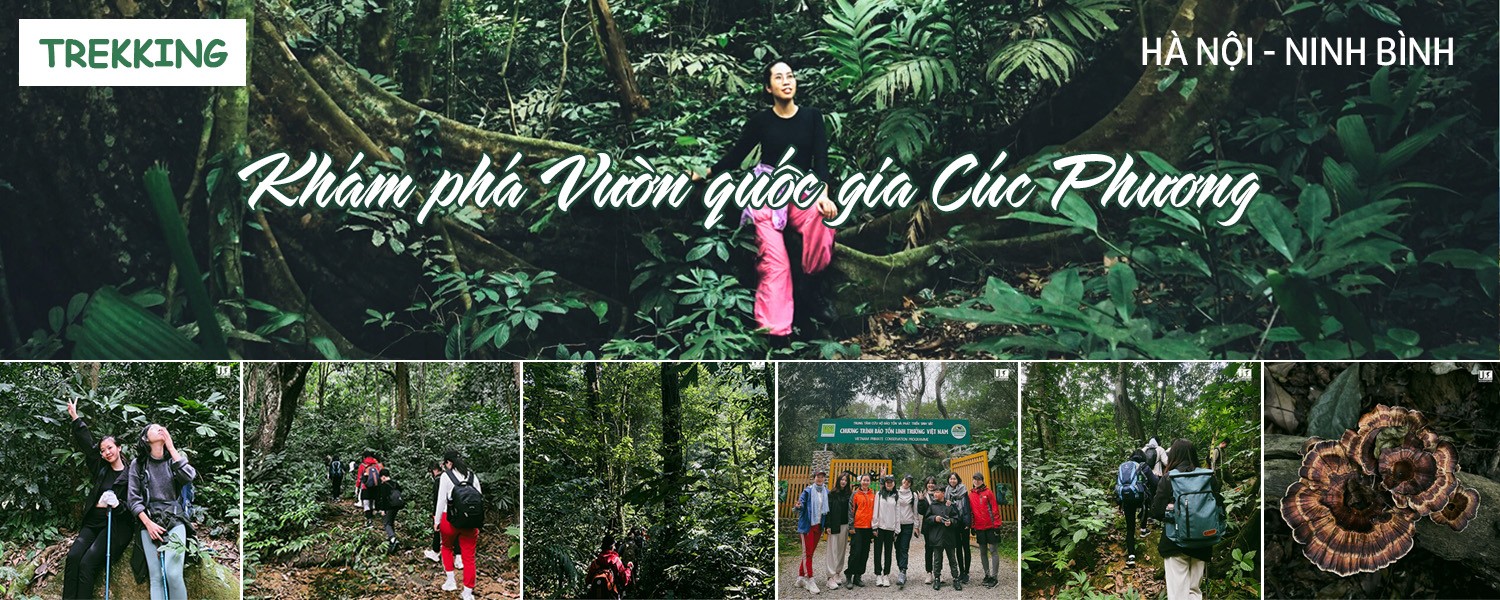 Tour Trekking Hà Nội - Ninh Bình | Khám phá Vườn quốc gia Cúc Phương (tour du lịch 1 ngày)