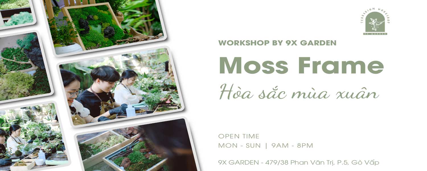 Moss Art Workshop - Hòa Sắc Mùa Xuân