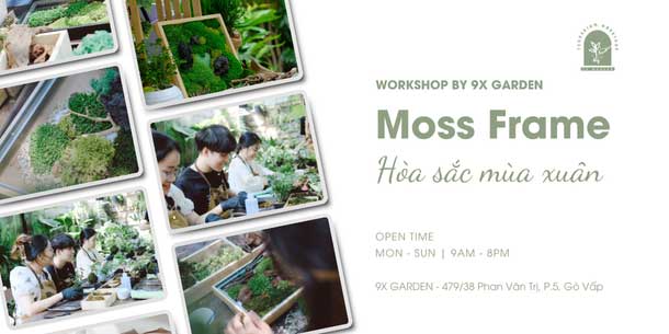 Moss Art Workshop - Hòa Sắc Mùa Xuân