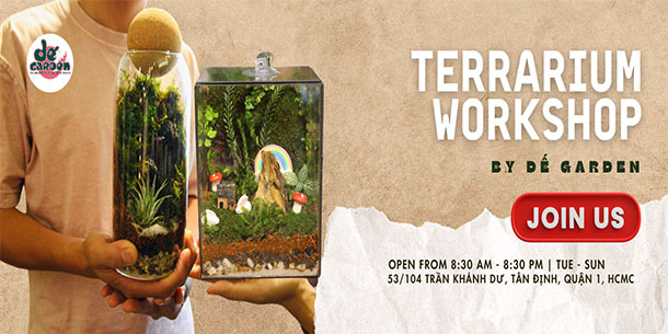 Workshop Terrarium – Chiếc bình năng lượng xanh