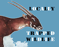 LOCALLY TRAPPED WILDLIFE