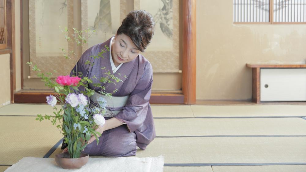 Tuần lễ Văn hóa Nhật Bản 2017 - Sắc màu văn hóa